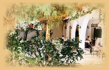 To Konaki Apartments in Alykes Zakynthos Zante Greece