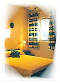 Regina Apartments Studios in Alykanas Zakynthos Zante Greece