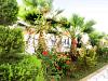 Roula Roulla Studios Apartments Alykes Zante Zakynthos Greece