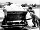 Photo Gallery - Salt Works in Alykes in the 70's - Zakynthos Greece