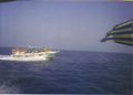 Golden Dolphin Watersports - Alykes Zakynthos Greece